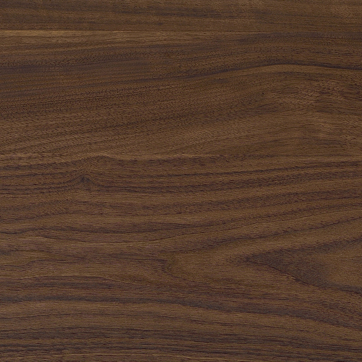 Rikkie Engineered Wood Coat Rack Walnut