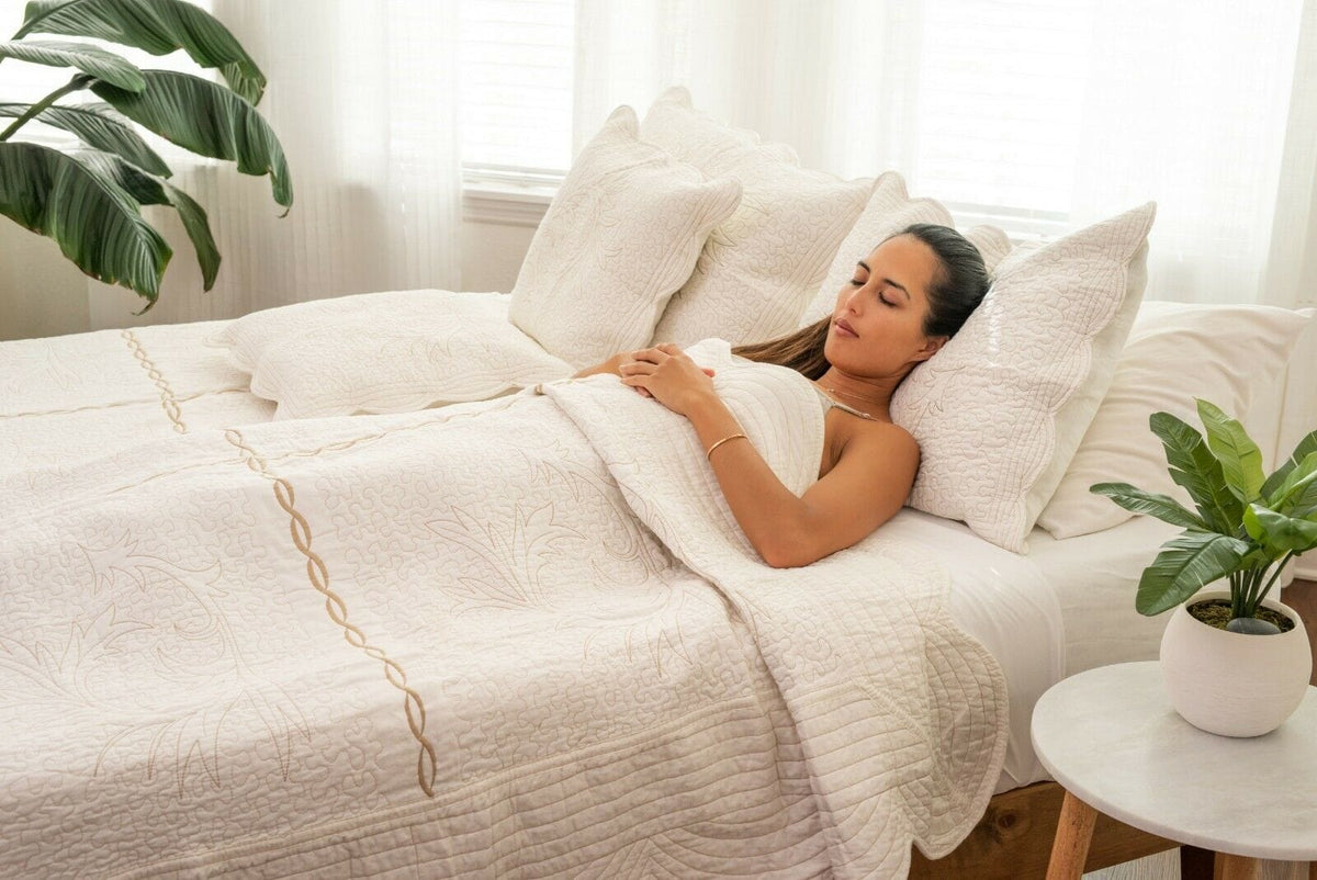 DaDa Bedding Elegant Cottage Ivory White Floral Matelassé Cotton Pillow Sham - Queen Size 20" x 30"